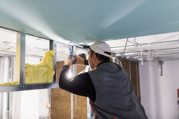 Best Insulation for Specific Applications in Santa Anna, TX