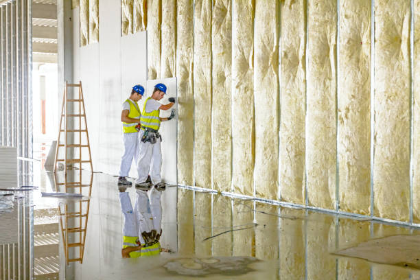 Best Insulation Materials and Products in Santa Anna, TX